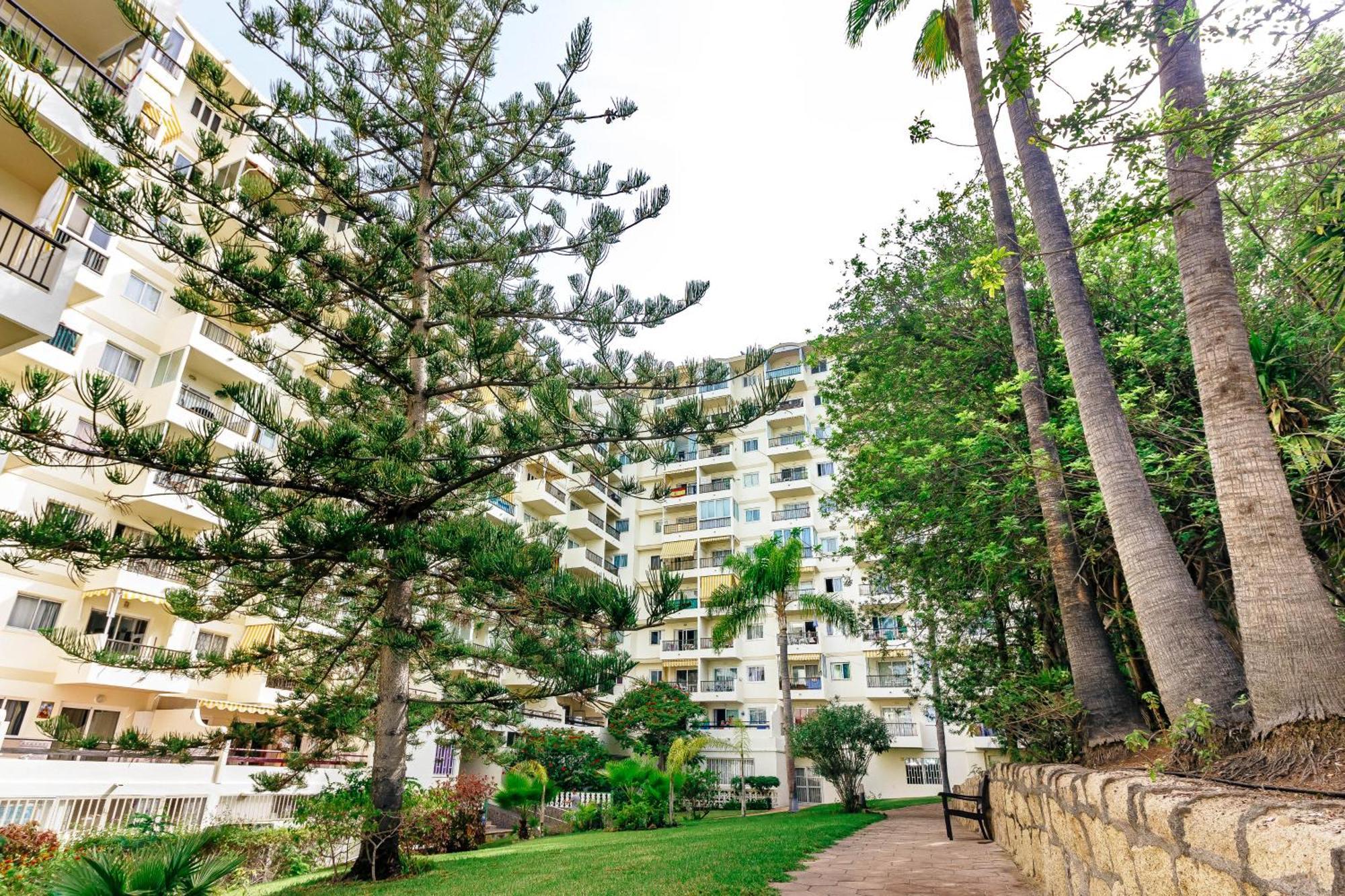 1bdr El Dorado Ocean View Americas Apartment
